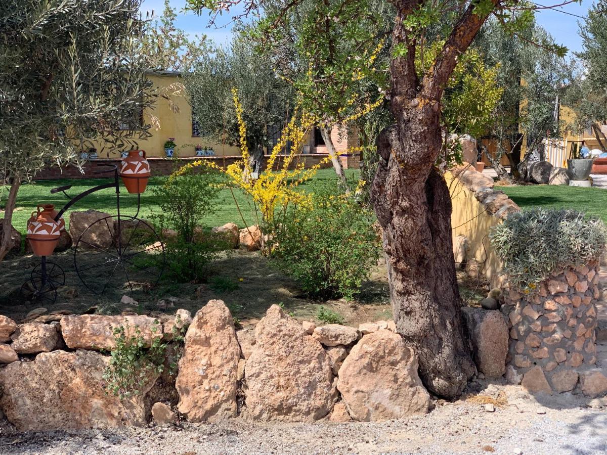 Cortijo Bustamante Guest House Baza Bagian luar foto