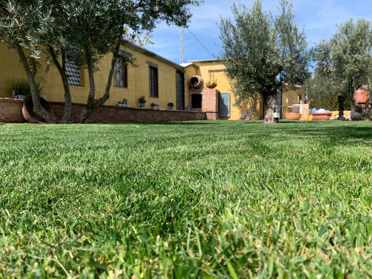 Cortijo Bustamante Guest House Baza Bagian luar foto