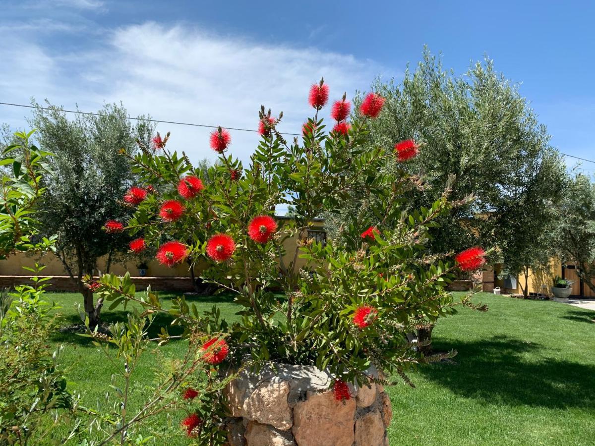 Cortijo Bustamante Guest House Baza Bagian luar foto